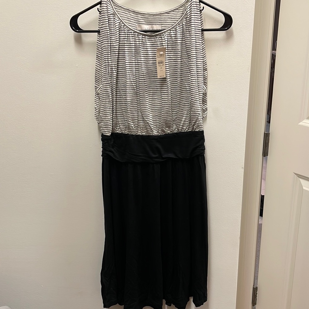 Loft NWT women’s dress